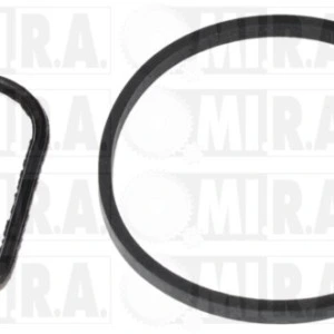 GUAR. POMPA DEPRES. FORD FOCUS III 1.5/1.6 TDCI 4556.24