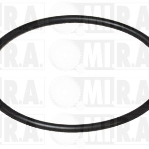 GUAR. POMPA DEPRES. FORD FOCUS – TRANSIT CONNECT 1.8 TDCI 1113201