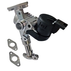 Valve EGR 11717563241