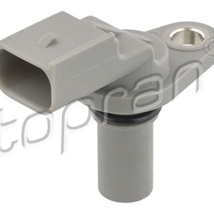 durite de radiateur 302667001, 1781666