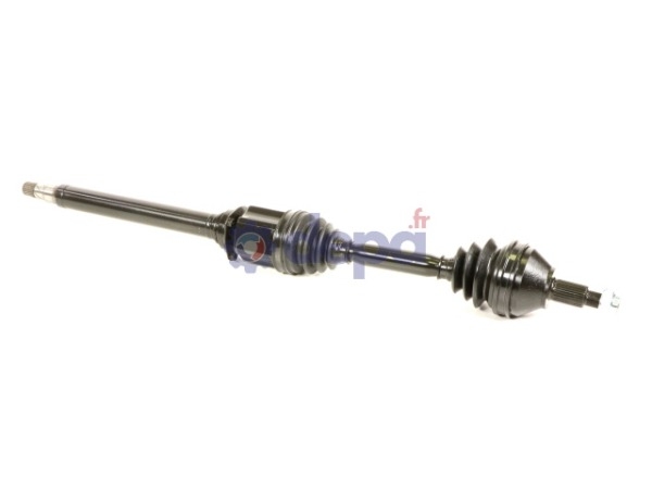 TRANSMISSION échange standard – 5051712400, 51876372, 71794538