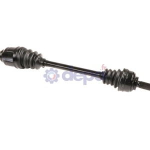TRANSMISSION échange standard – 391012689R
