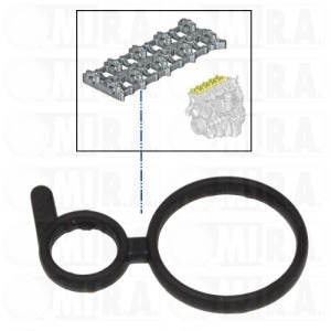 GUARN. CAST. TESTATA BMW  11 31 7 801 703