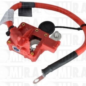 CAVO BATTERIA POSITIVO CON FUSIBILE BMW/MINI (04>) 61129217031
