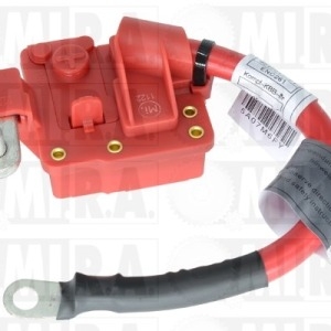 CAVO BATTERIA POSITIVO CON FUSIBILE BMW SERIE 1 (07>) 61129217017