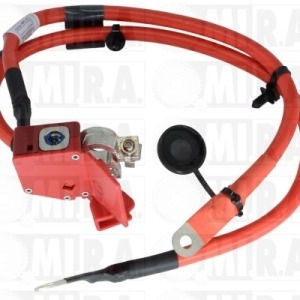 CAVO BATTERIA POSITIVO CON FUSIBILE BMW SERIE 1/2 (13>) 61 12 9 253 111