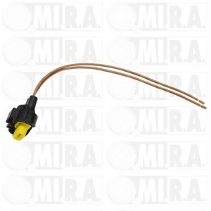 BRIGLIA CONNETTORE DCS 2 POLI  71774006