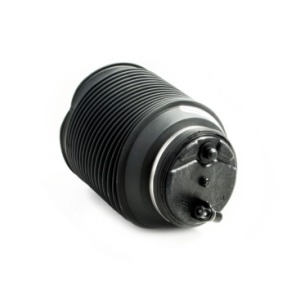 Boule pneumatique Arrière Gauche Lexus GX470
