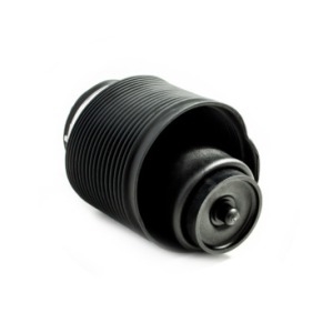 Boule pneumatique Arrière Gauche Lexus GX470