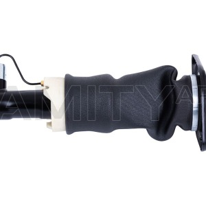 Suspension pneumatique Audi