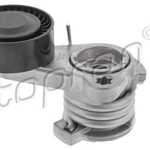 Moyen 501497001, 11287530314