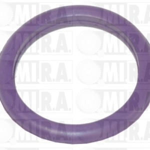 GUARNIZ. O-RING 22X28  9831655280
