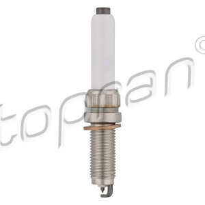Moyen 629901001, 12120040551