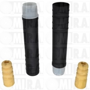 TAMPONE AMM. POST. RENAULT CLIO IV (12>) 55 24 055 69R