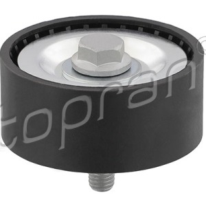 Poulie de renvoi/guide 722419001, 575191