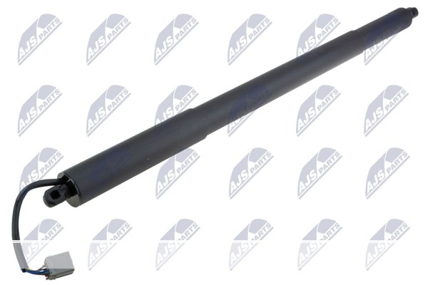 AMORTISSEUR DE PORTE ARRIÈRE, AE-FR-080 /BT4Z78431A78B