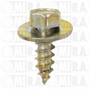 VITE FISSAGGIO CARROZ. DM 6,3X19 ES 10 CONF. 30 PZ 311821143