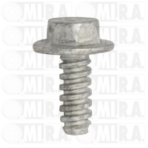 VITE FISSAGGIO CARROZ. DM 6,3X19 ES 10 CONF. 30 PZ 7703016264