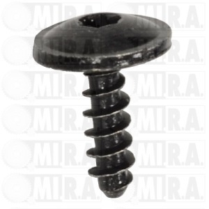 VITE DI FISSAGGIO CARROZ. DM 5X16 CONF. 30 PZ N   103 546 01