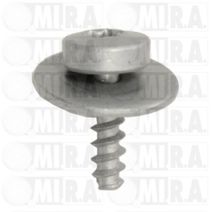 VITE DI FISSAGGIO CARROZ. DM 5X17 CONF. 30 PZ 1388632