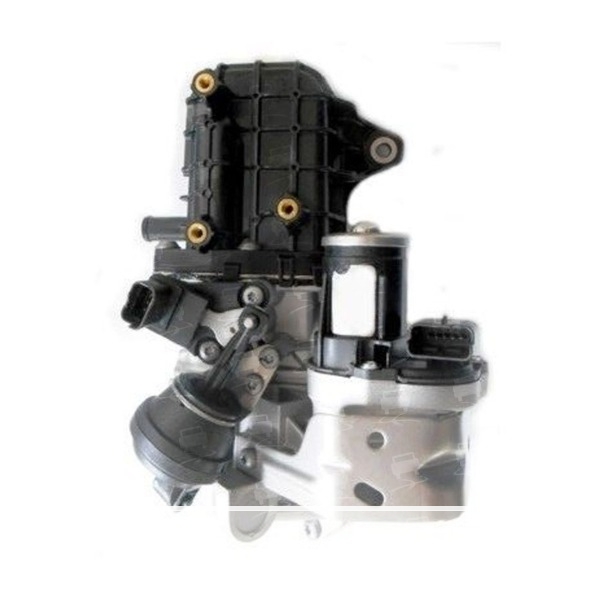 Valve EGR 9807593080