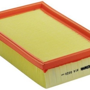 Filtre à air C25100