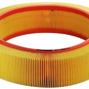 Filtre à air C38161