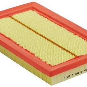 Filtre à air C2568/1