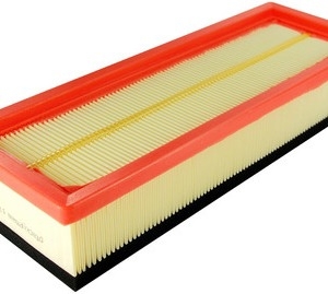 Filtre à air C2859
