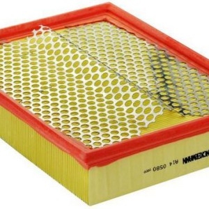 Filtre à air C30195