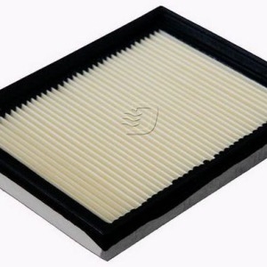 Filtre à air C2244