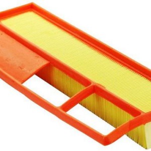 Filtre à air C3877/1