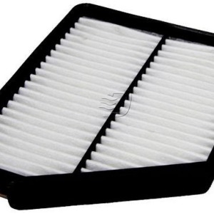Filtre à air C2421