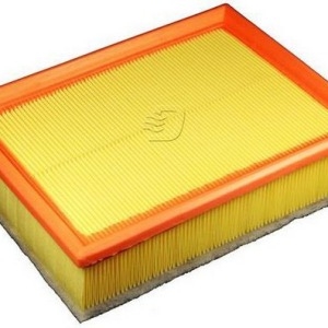 Filtre à air C25118/1