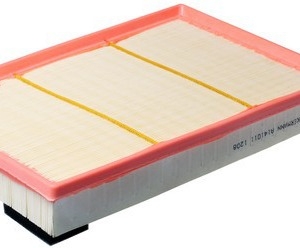 Filtre à air C35177