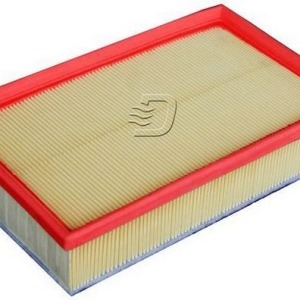 Filtre à air C30153/1