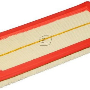 Filtre à air C3495