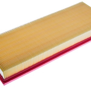 Filtre à air C3689