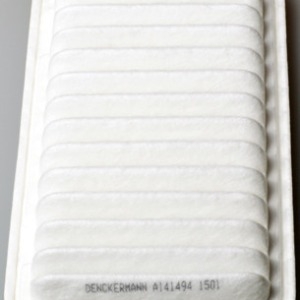 Filtre à air C25006