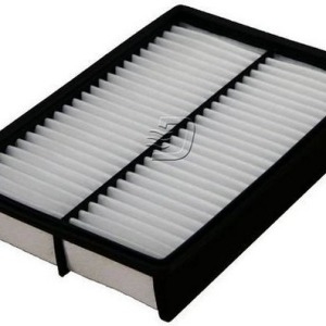 Filtre à air C2841