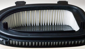 Filtre à air C36014