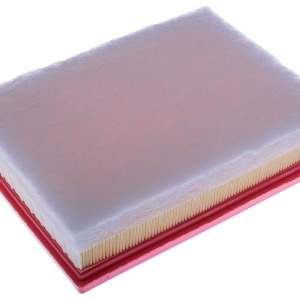 Filtre à air AP196/9