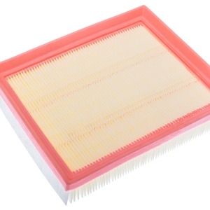 Filtre à air AP186/5