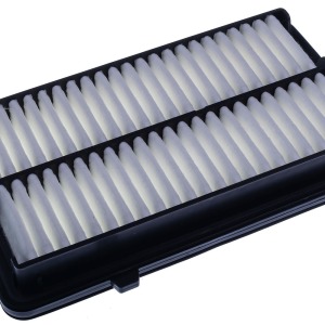 Filtre à air C25034