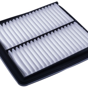 Filtre à air AP176/7