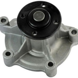 Pompes à eau M213