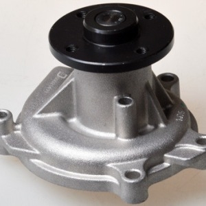 Pompes à eau T224