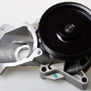 Pompes à eau B221
