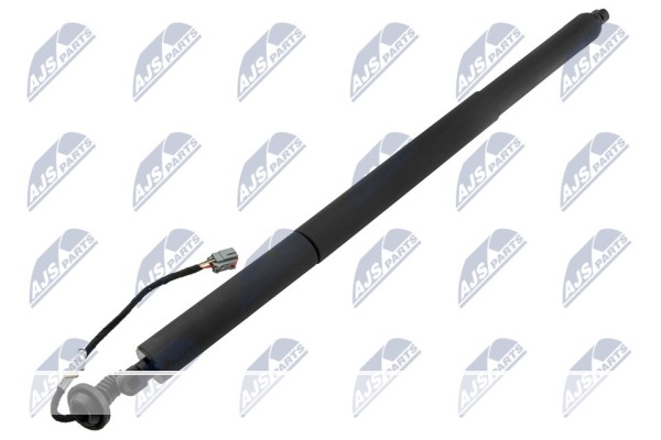 AMORTISSEUR DE PORTE ARRIÈRE, AE-FR-076 /DS73N402A55AE
