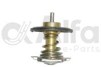 Thermostat 11537835558, 11531407772, 53041078